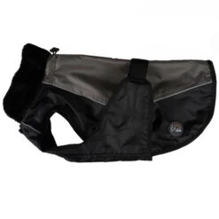 HKM Dog Coat With Teddy Fur Collar