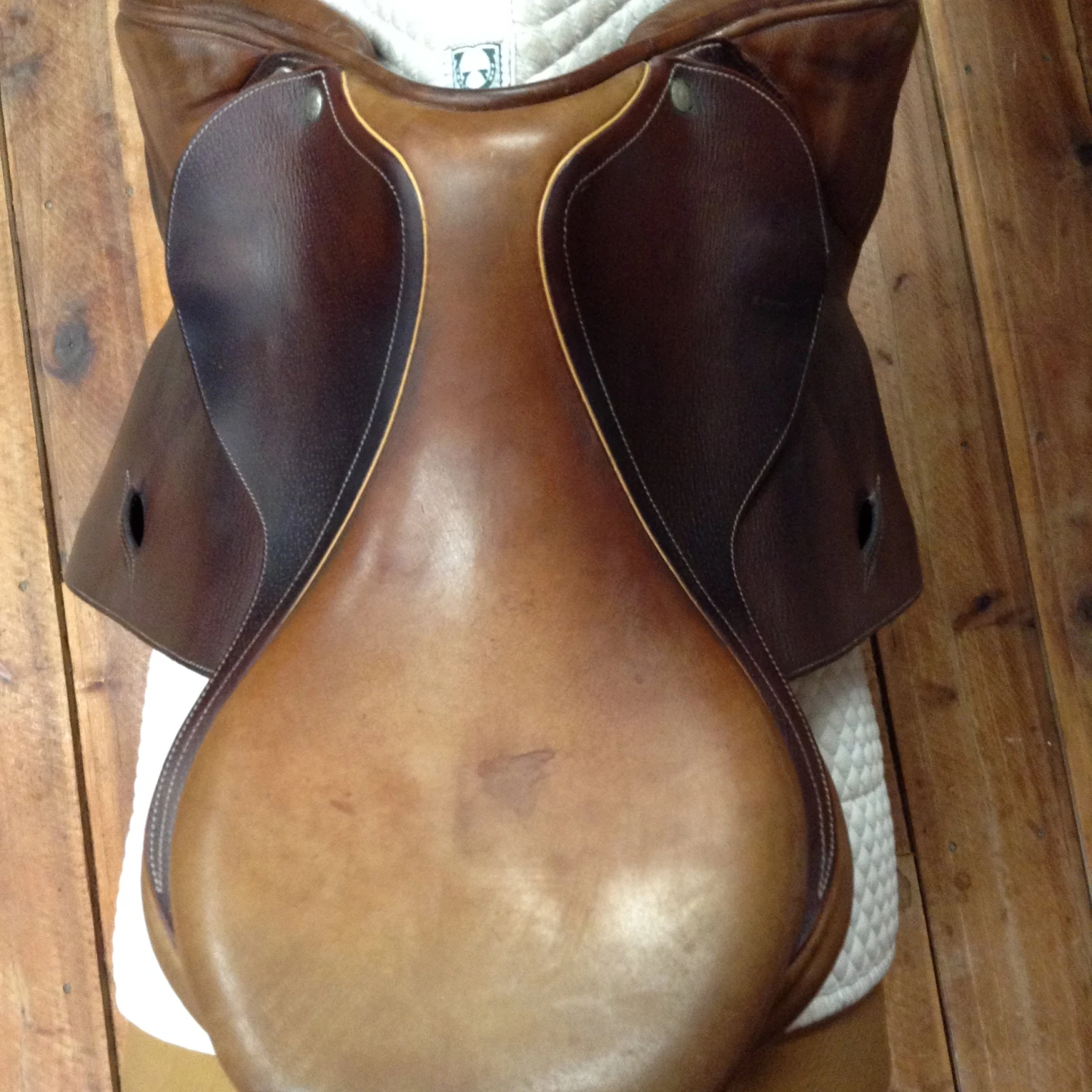 Luc Childeric Jump Saddle 17" - Image 3