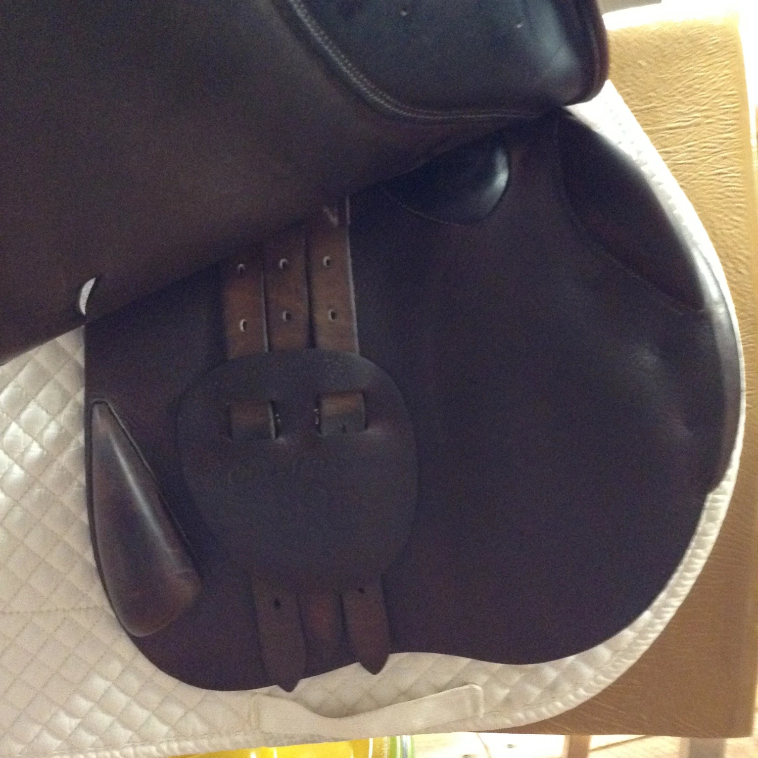 2007 Bruno Delgrange 18.5" - Image 12