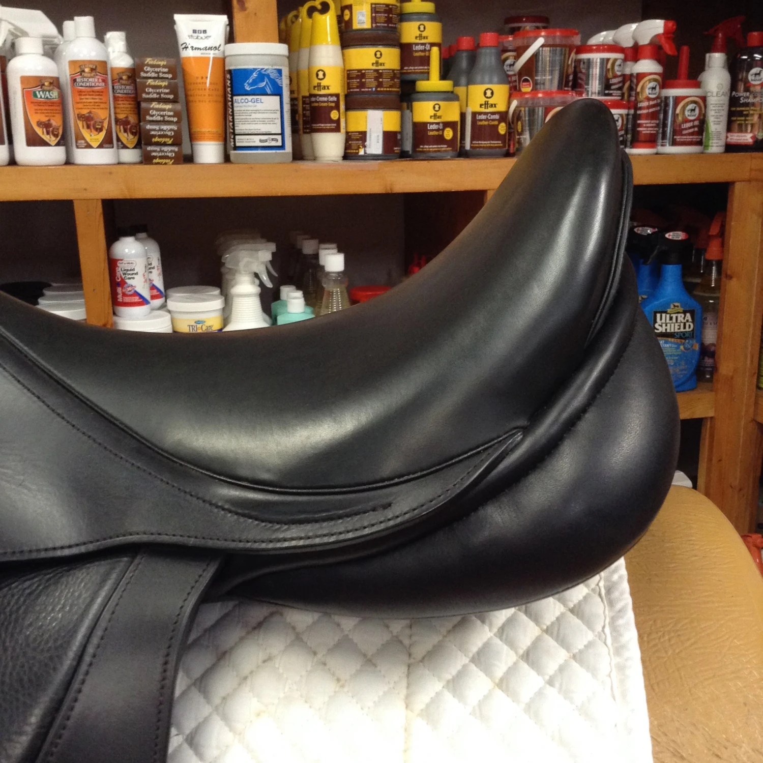 M Toulouse Diana Dressage - 17" - Image 3