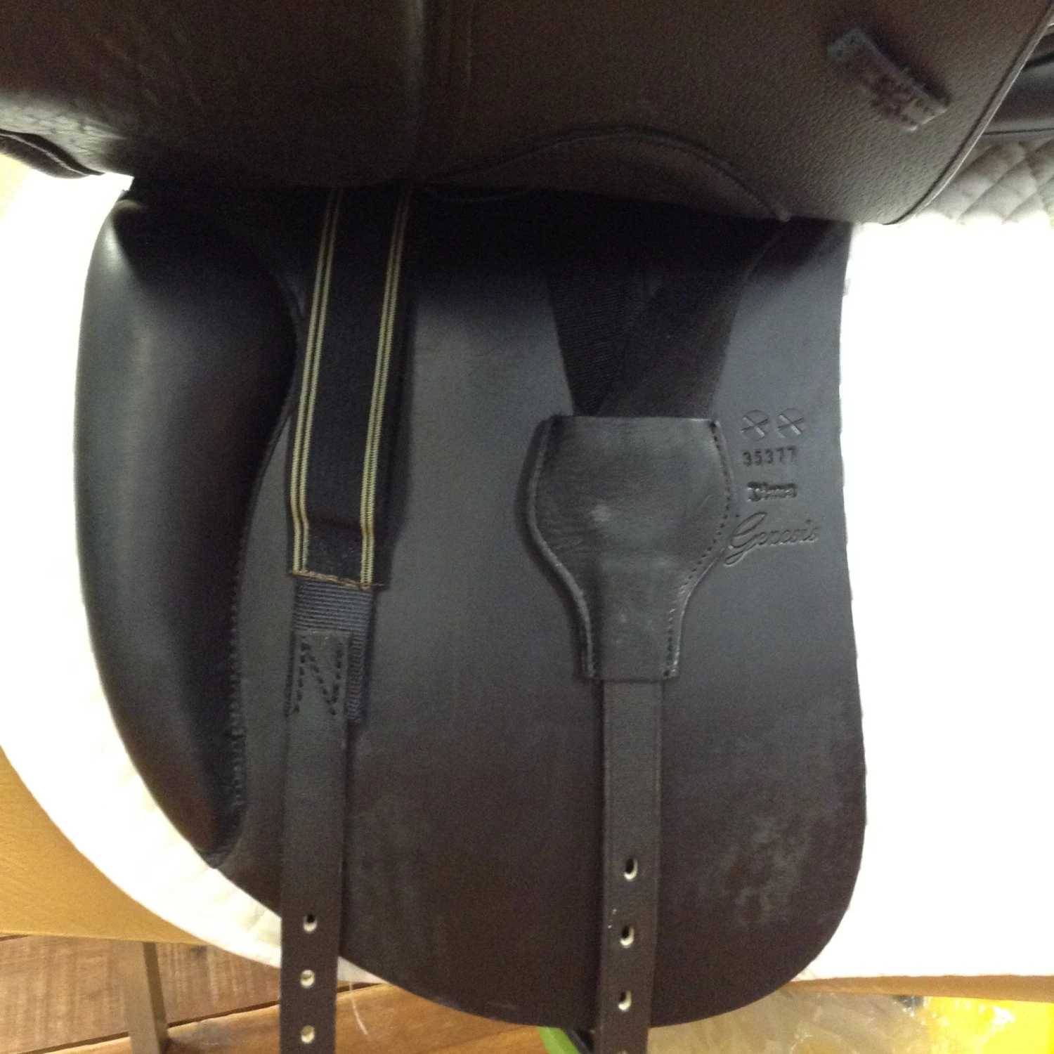 M Toulouse Diana Dressage - 17" - Image 6