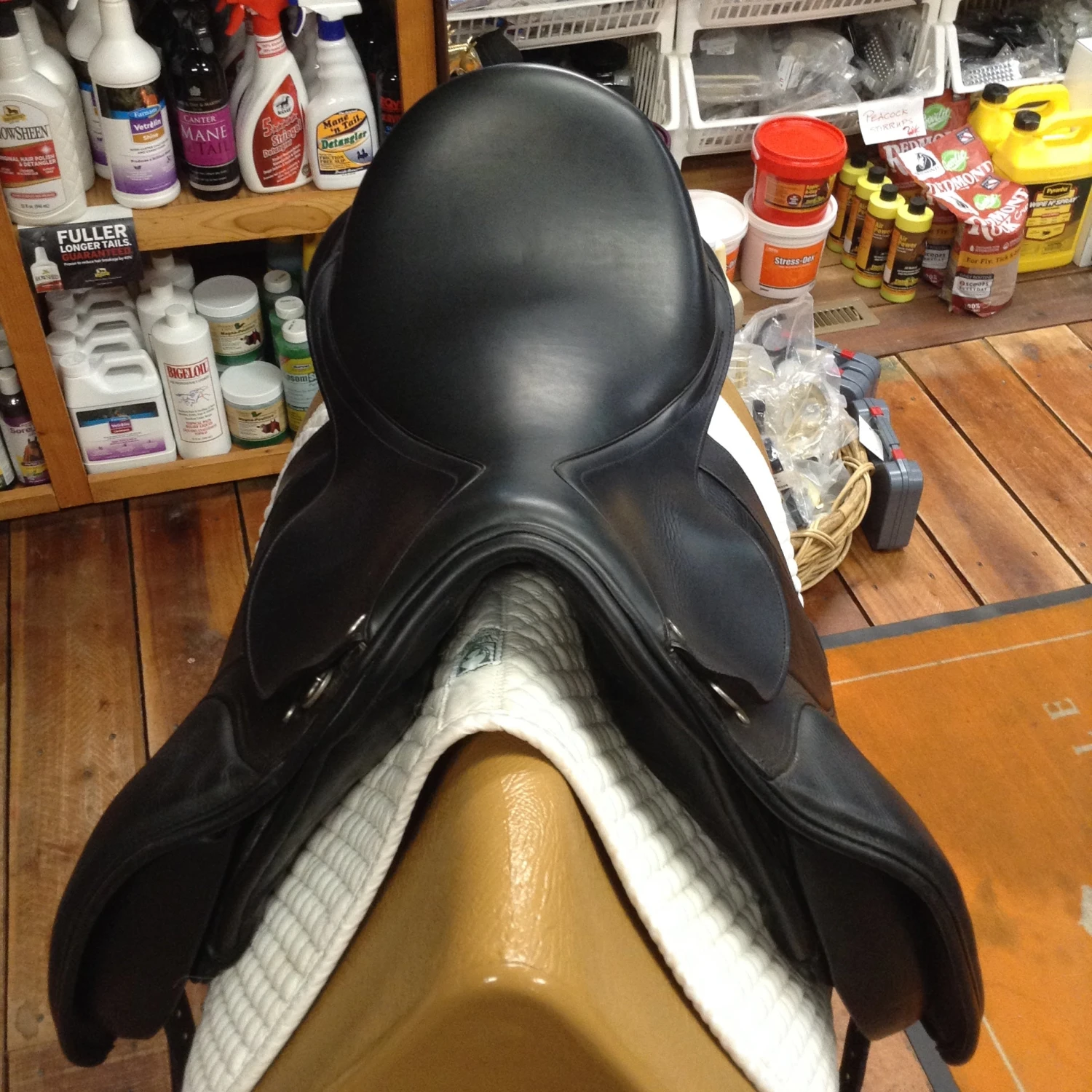 M Toulouse Diana Dressage - 17" - Image 10