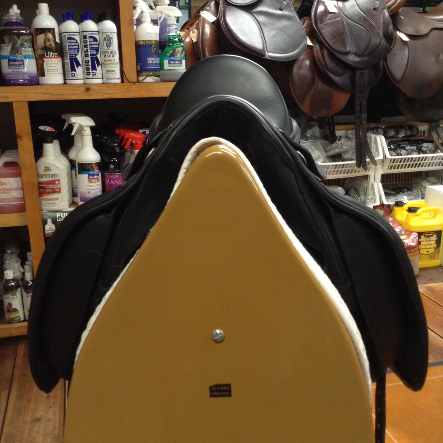 M Toulouse Diana Dressage - 17" - Image 11