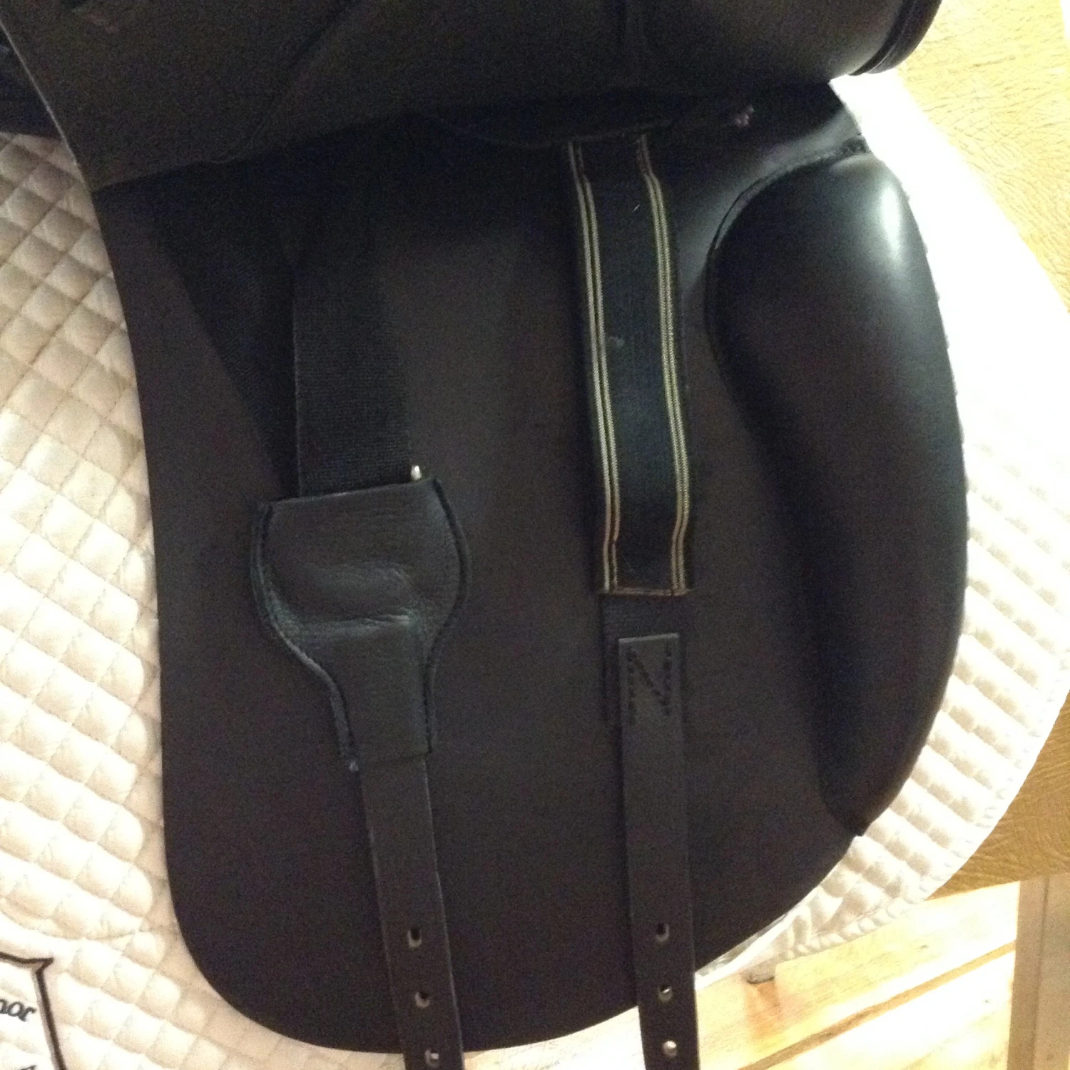 M Toulouse Diana Dressage - 17" - Image 16