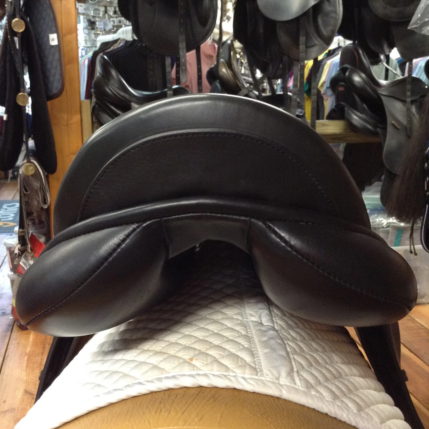 M Toulouse Diana Dressage - 17" - Image 19