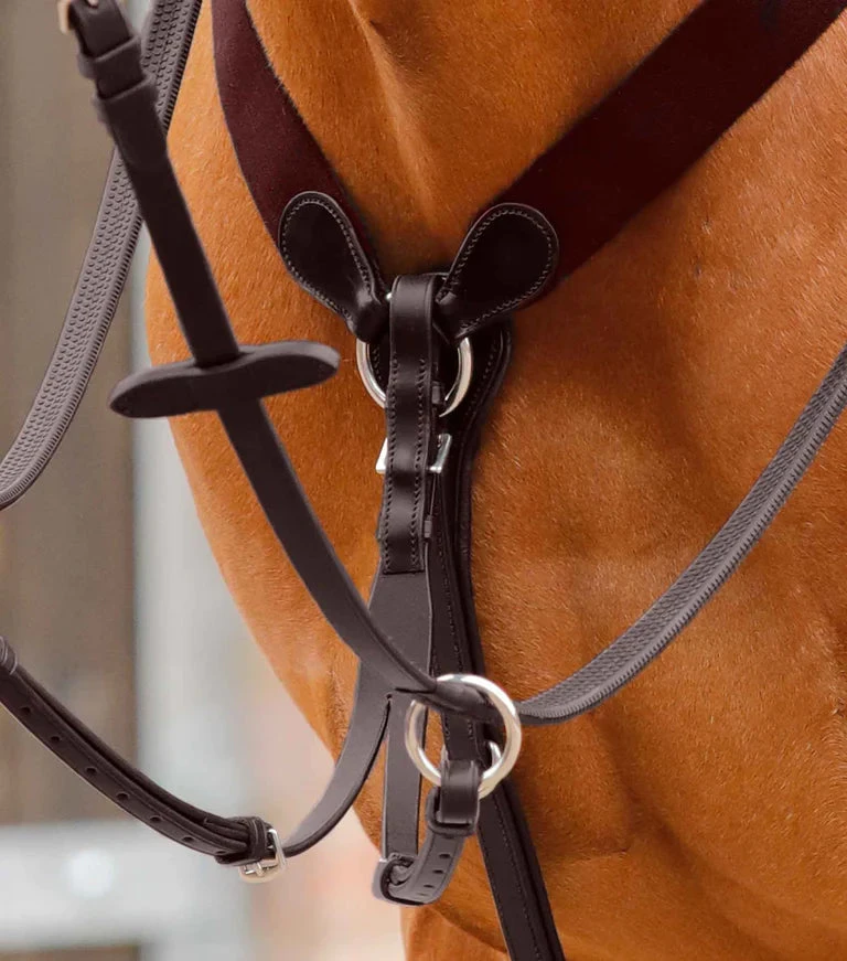 Premier Equine Baressa Elastic Jumping Breastplate - Image 2