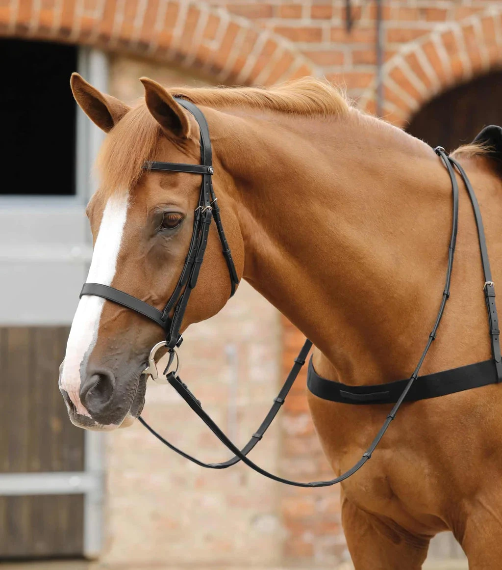 Premier Equine Salvatore Rubber And Leather Reins