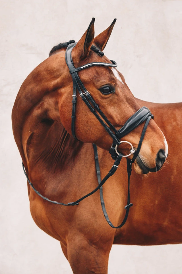 Schockemoehle Stanford Dressage Bridle - Image 2
