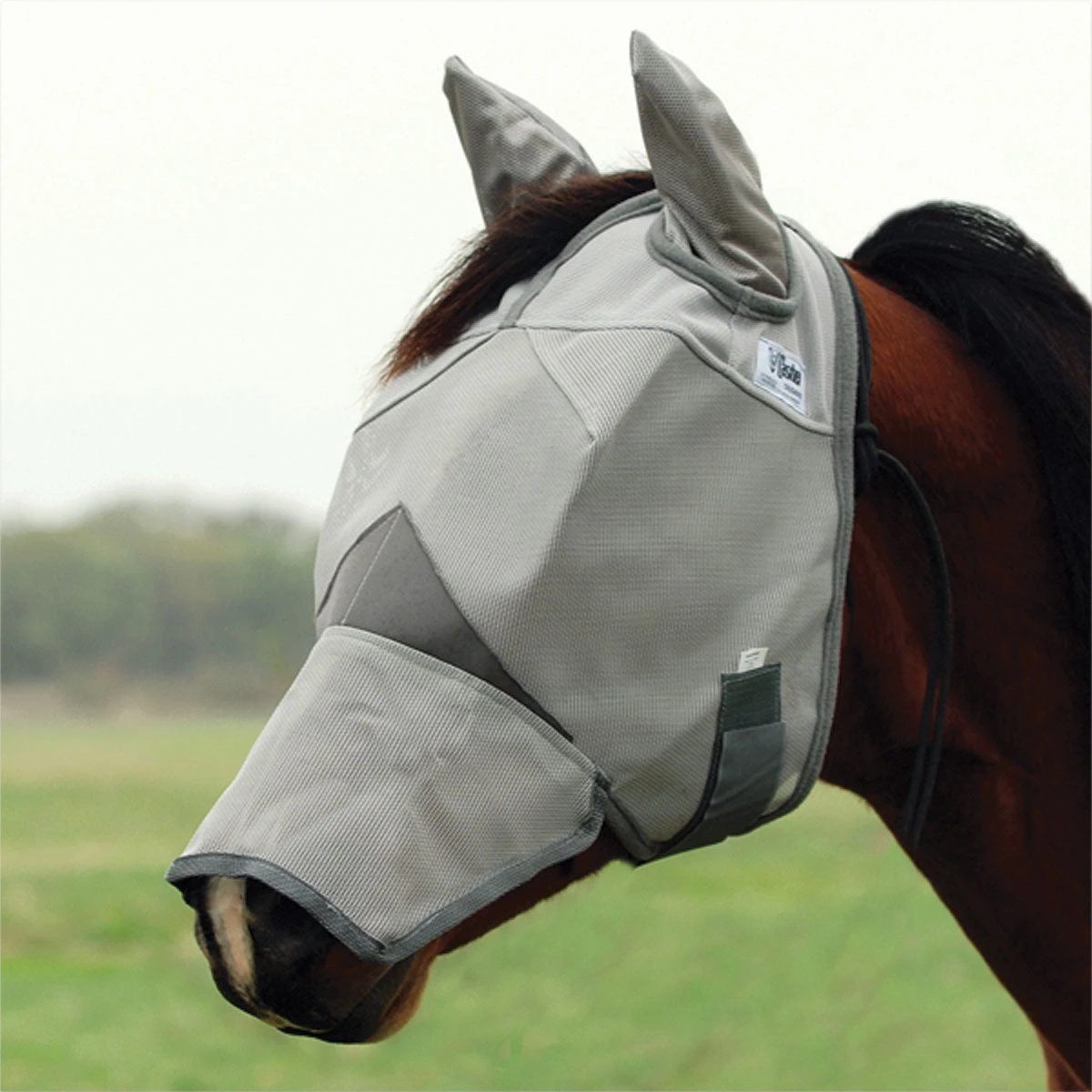 Cashel Crusader Fly Mask - Image 3