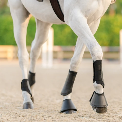 Equifit Essential® Everyday™ Front Boots - Image 4