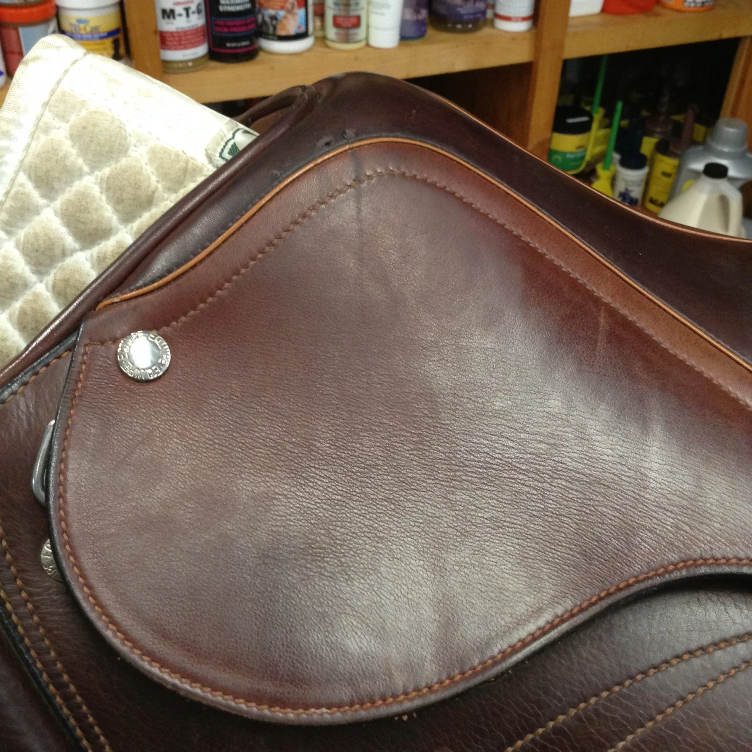 Equipe Expression Jump Saddle - 17.5" - Image 2