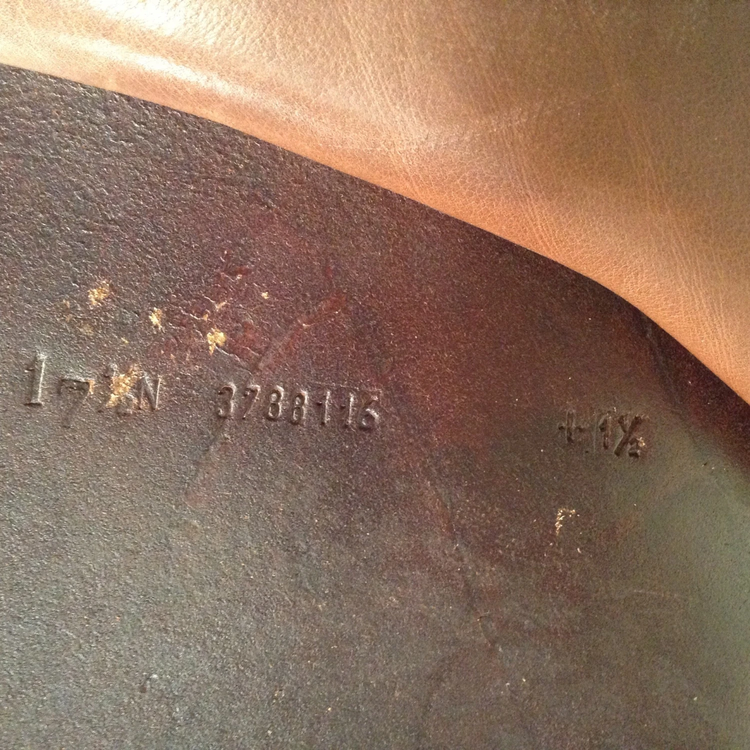 Equipe Expression Jump Saddle - 17.5" - Image 17