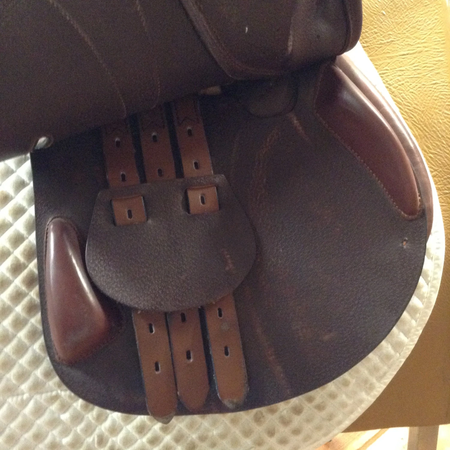 Equipe Expression Jump Saddle - 17.5" - Image 13