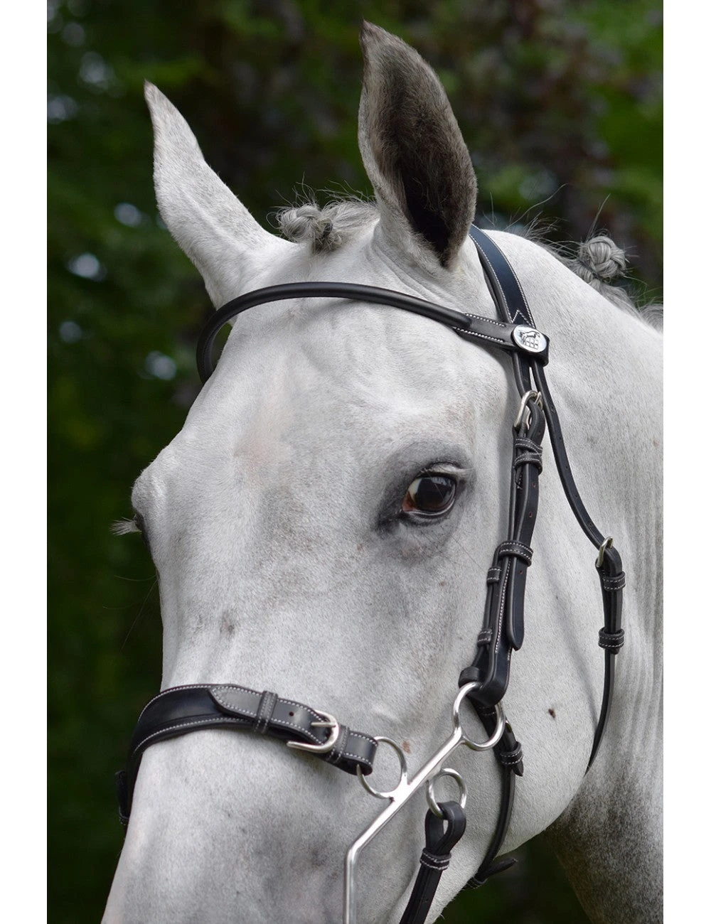 Jump'In Hackamore Bridle - Image 2