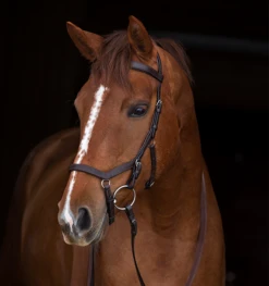 Horseware Ireland Rambo® Micklem® Original Competition Bridle