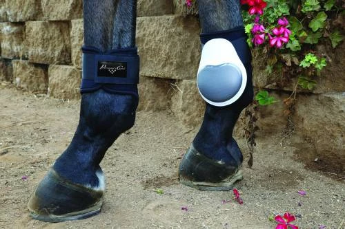 Professional's Choice Pro Performance Fetlock Boots