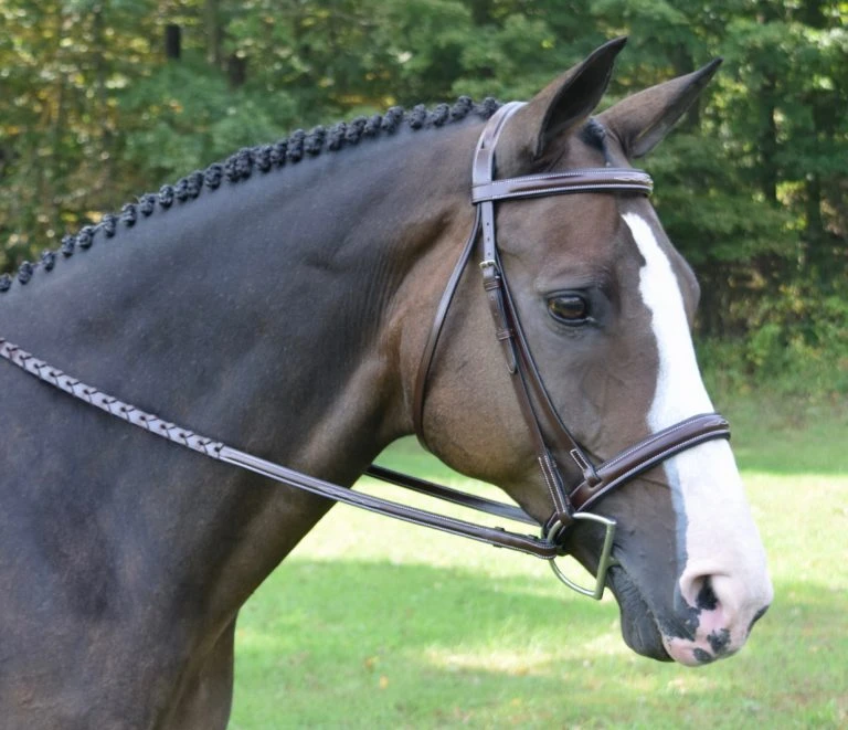 KL Select Red Barn Spirit Hunter Bridle